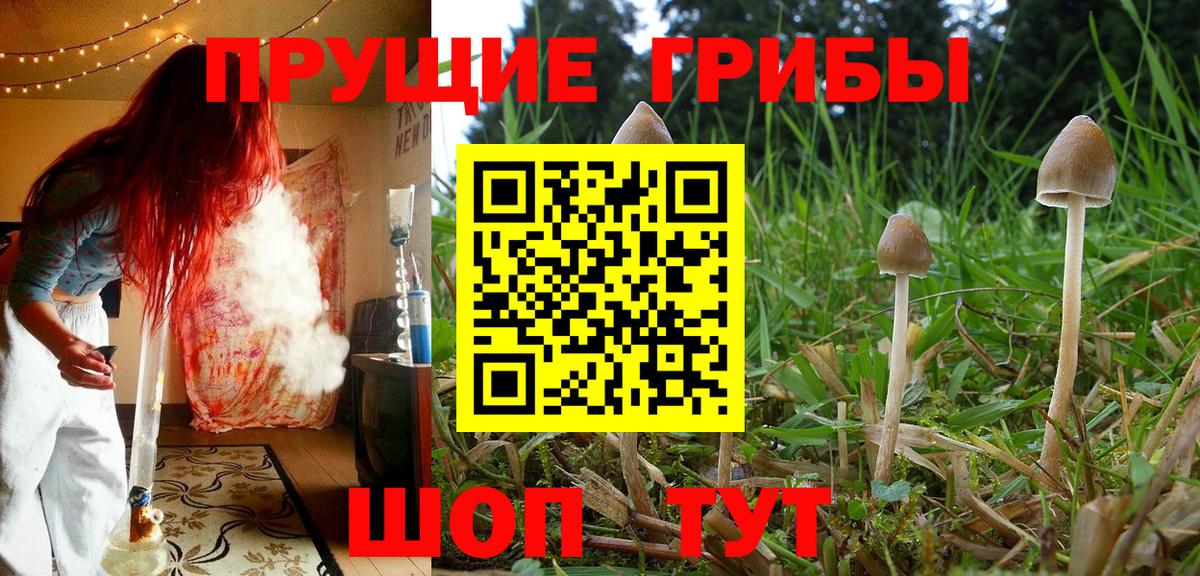 Псилоцибиновые грибы Psilocybine cubensis  Вход с VPN  Феодосия 